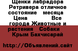 Щенки лабрадора Ретривера отличное состояние 2 месяца › Цена ­ 30 000 - Все города Животные и растения » Собаки   . Крым,Бахчисарай